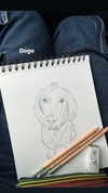 biton__adi Altpins Profile Picture