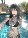 xtripleceleste Altpins Profile Picture