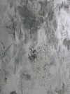 auddk_77 Altpins Profile Picture
