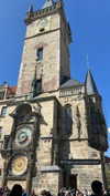 giulia_tosini_ Altpins Profile Picture