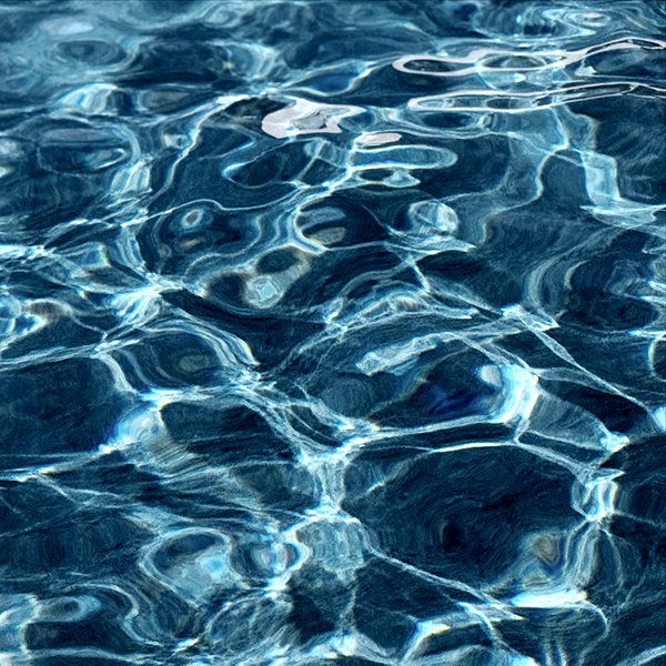 amanitalis instagram image archive image
