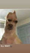 faithordway Altpins Profile Picture