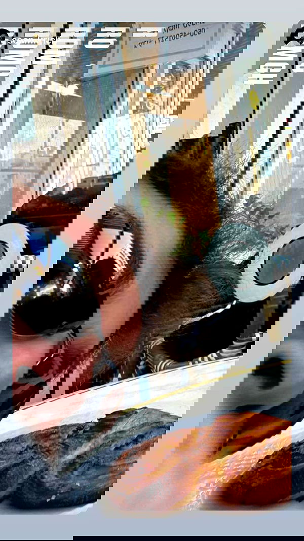 romy_ayalla_lavi romy_ayalla_lavi archive image