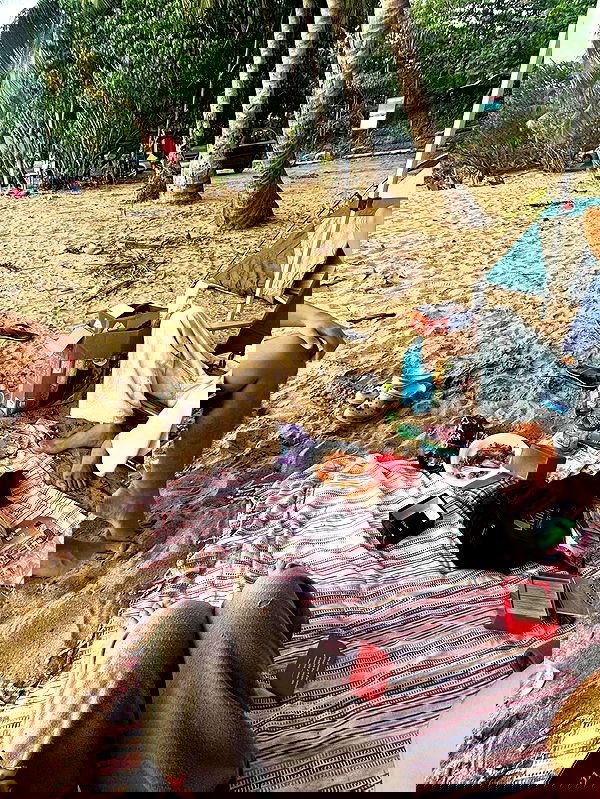 mosssaico mosssaico archive image