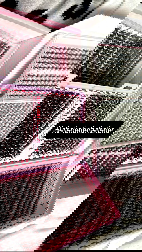 moonliliaght moonliliaght archive image