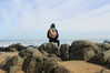 jadelaverne Altpins Profile Picture