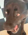 _urbaneva Altpins Profile Picture