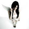 liashaked Altpins Profile Picture