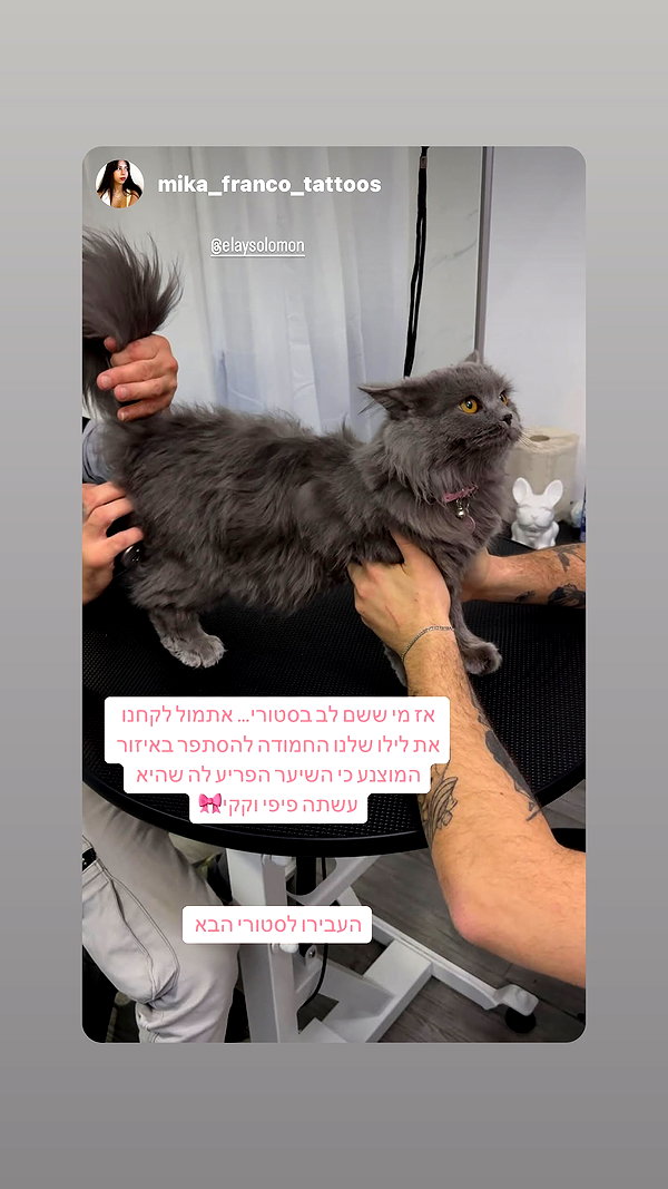 Archived image from @elaysolomon on Instagram