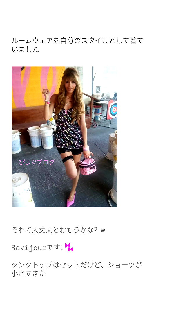 piyokoblog archive image
