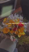 alisen.mari Altpins Profile Picture