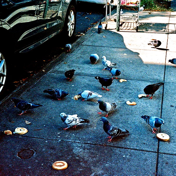 bugz4brainz instagram image archive image