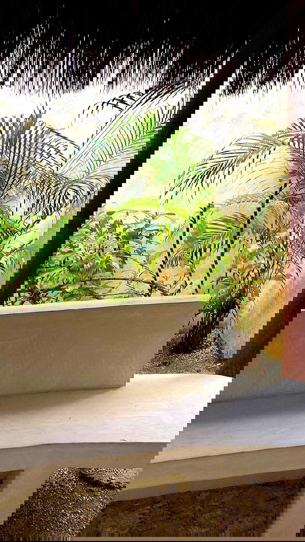 manjolamuriqi manjolamuriqi archive image