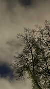 ira_dash_ Altpins Profile Picture