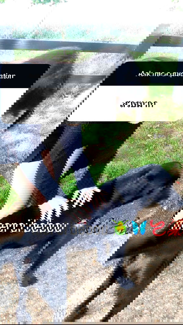 xeiyza xeiyza archive image