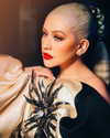 xtina Altpins Profile Picture