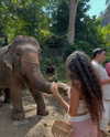 __yaheli_ Altpins Profile Picture