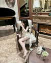 lyhythuedoxinh Altpins Profile Picture