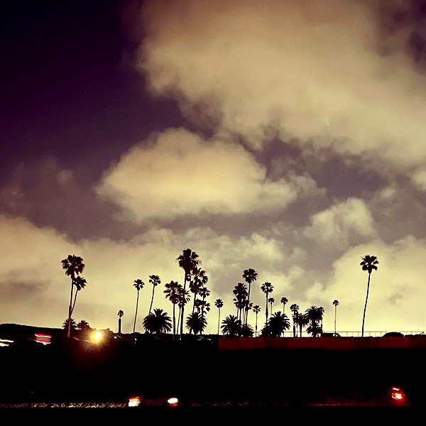 haileylayfield instagram image archive image
