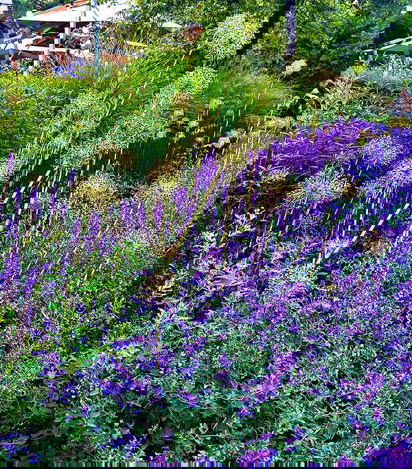 taylor.creeden taylor.creeden archive image