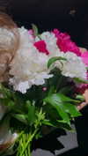 tsarbayeva Altpins Profile Picture
