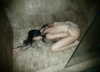 veildose Altpins Profile Picture