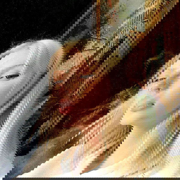 annfigmax image ~ Altpins