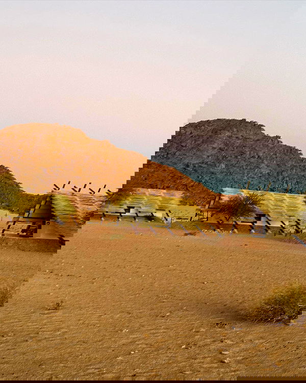 taylor.creeden taylor.creeden archive image