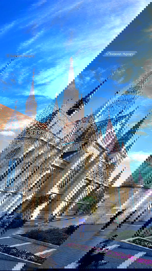 ellamwatts_ ellamwatts_ archive image