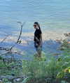 reneeebeller Altpins Profile Picture