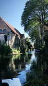 federica.piccinni Altpins Profile Picture
