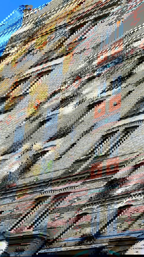 taylor.creeden taylor.creeden archive image