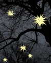 milena_milachich Altpins Profile Picture