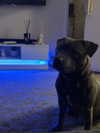 _m_a_y_c_ Altpins Profile Picture