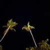 b6ylexx Altpins Profile Picture