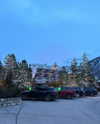 michalcohen___ Altpins Profile Picture