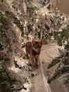xtina Altpins Profile Picture