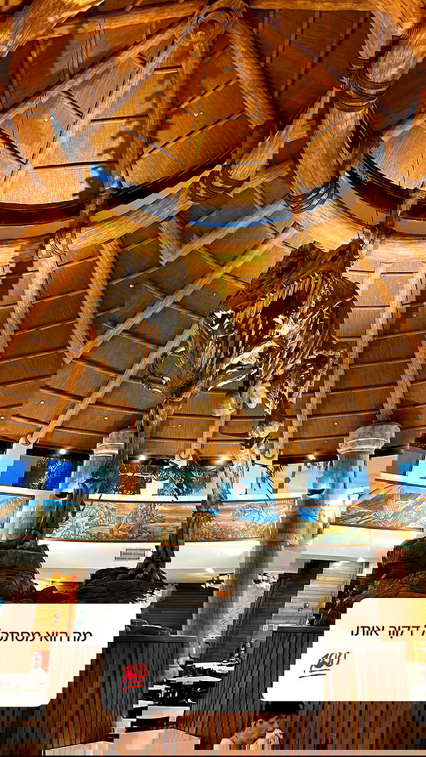 sapir_shemer sapir_shemer archive image