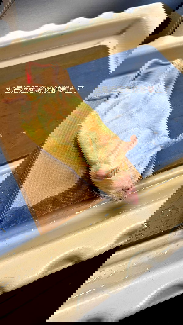 xuewei._.lxw xuewei._.lxw archive image