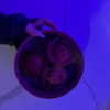 ehcico Altpins Profile Picture