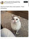 catl0verr69 Altpins Profile Picture