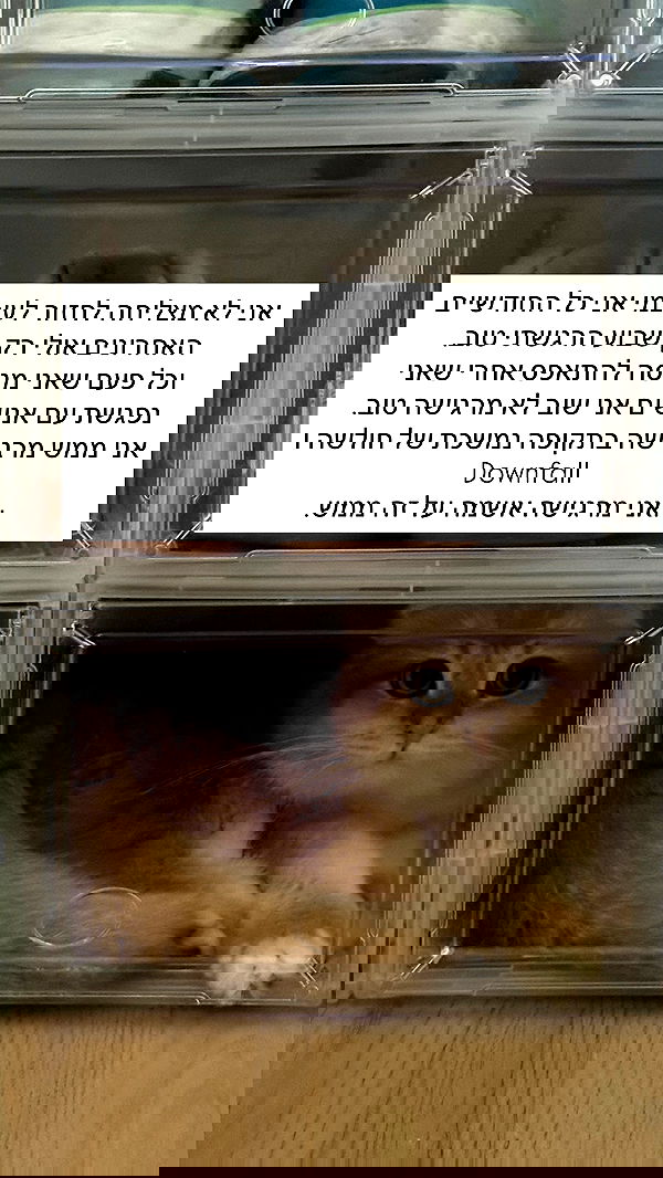 itsilanosh itsilanosh archive image