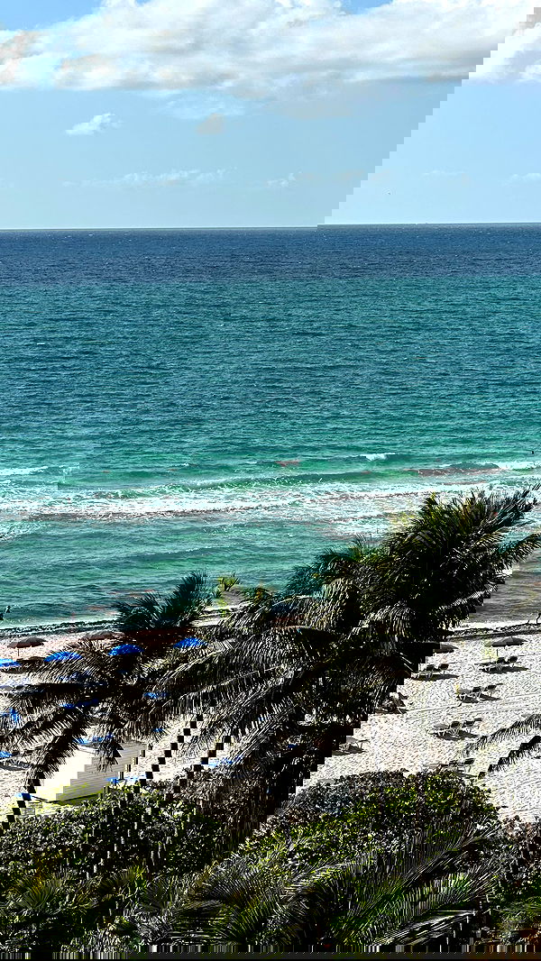 taylor.creeden taylor.creeden archive image