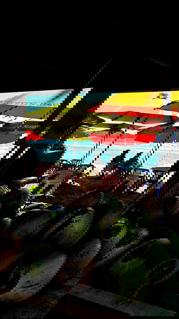 taylor.creeden taylor.creeden archive image