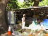 elsarca Altpins Profile Picture