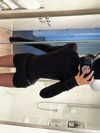 fair_mua Altpins Profile Picture
