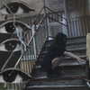 _dead__cherry_ Altpins Profile Picture