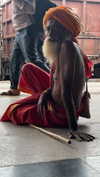 maori_cohen Altpins Profile Picture