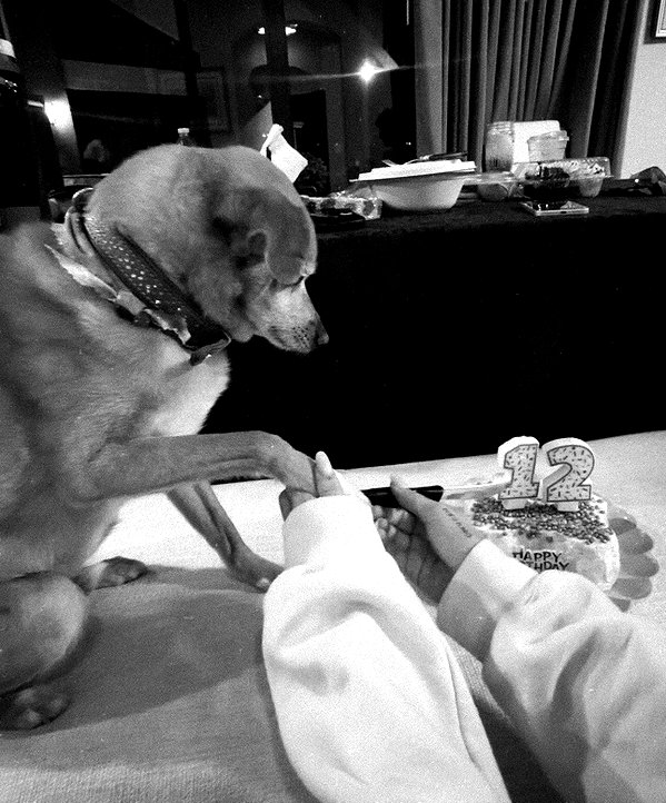 arianagrande instagram image archive image