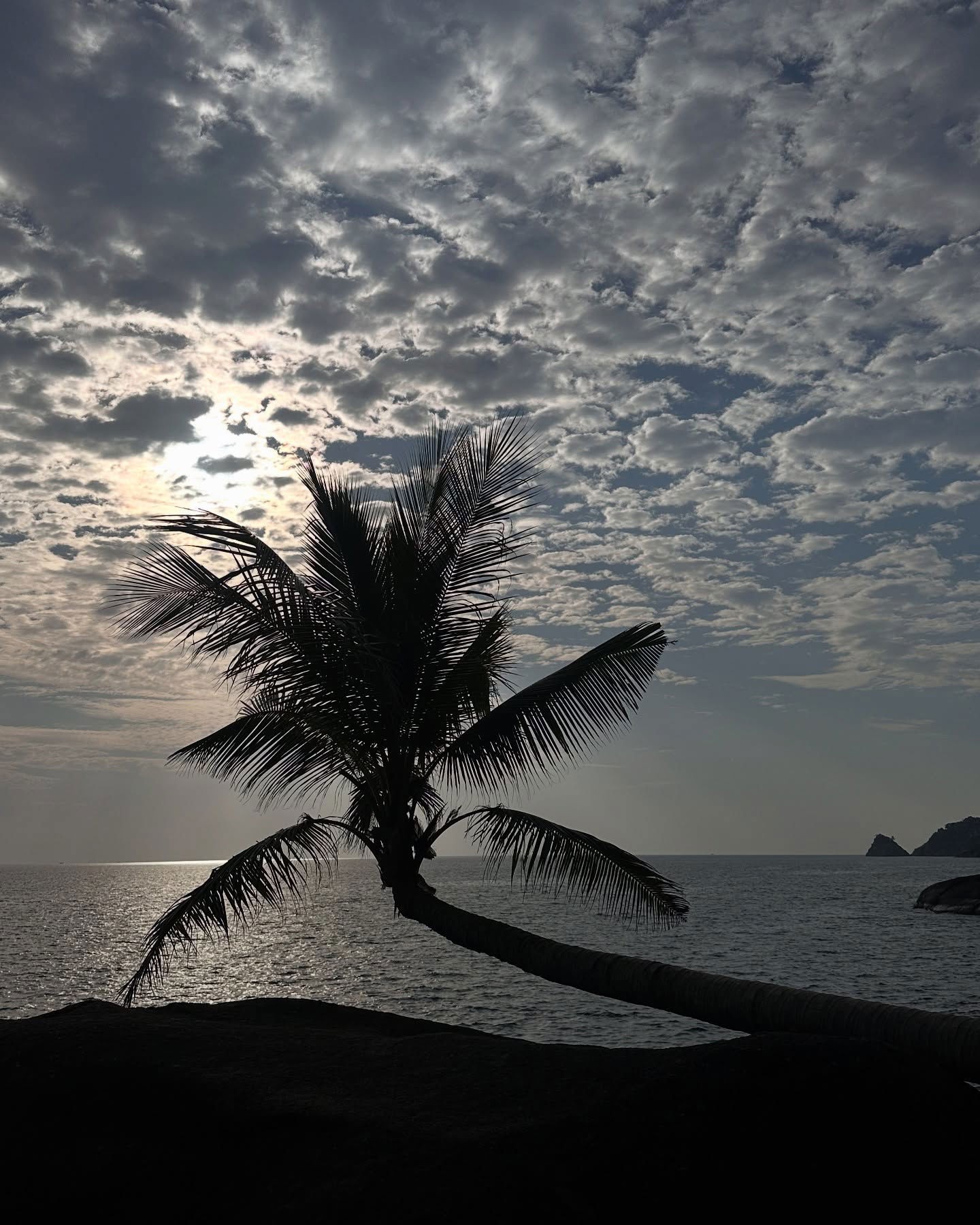 kkulakovaa instagram image archive image